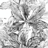 Orchid Tree Face Mask